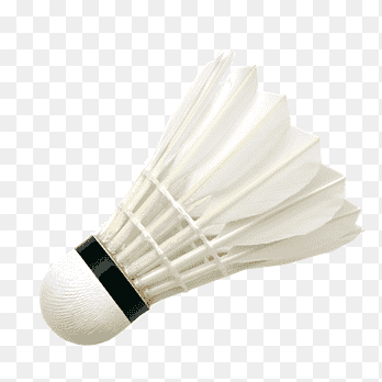 Badminton shuttlecock